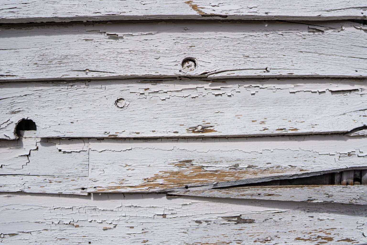 Rot on Siding